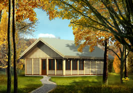 Bear Cub Log Cabin Model
